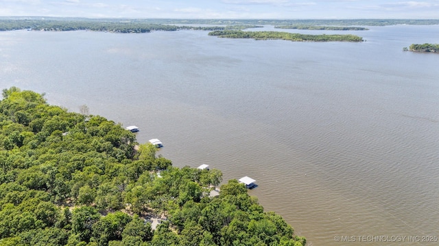 55890 E 315th Rd, Jay, OK 74346 - drone / aerial view of a large body of water