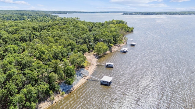 55890 E 315th Rd, Jay, OK 74346 - drone / aerial view of a large body of water and a forest