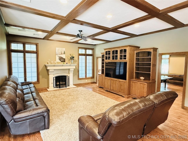 4224 S 69th W Ave, Tulsa, OK 74107 - living room with coffered ceiling, light wood-type flooring, ceiling fan, plenty of natural light, and beamed ceiling