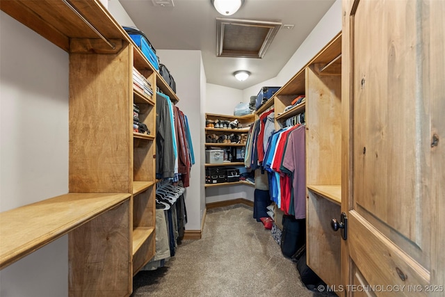 33268 Cardinal Dr, Afton, OK 74331 - walk in closet featuring attic access and dark colored carpet