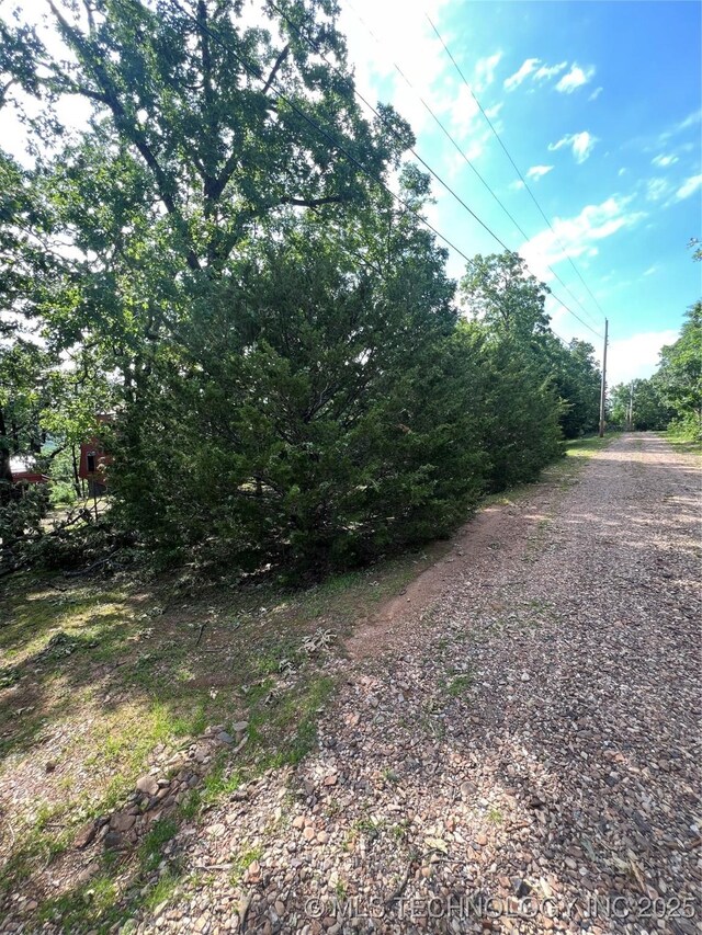 95398 S 4556, Vian, OK 74962 - view of dirt / gravel road