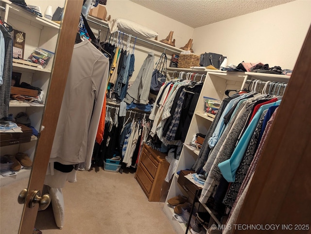11309 S 107th E Ave, Bixby, OK 74008 - walk in closet featuring carpet