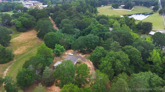 1319 SE 3rd St, Antlers, OK 74523 - aerial view of property's location with a nearby body of water