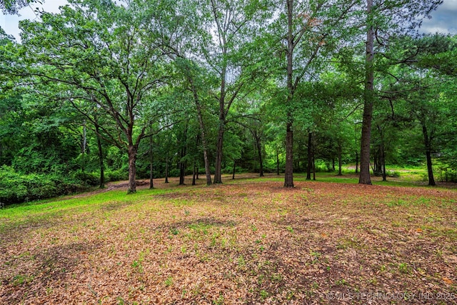 1319 SE 3rd St, Antlers, OK 74523 - view of yard with a wooded view