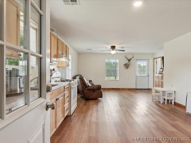 25301 E 330th Rd, Chelsea, OK 74016 - living area with ceiling fan, light wood-type flooring, and baseboards