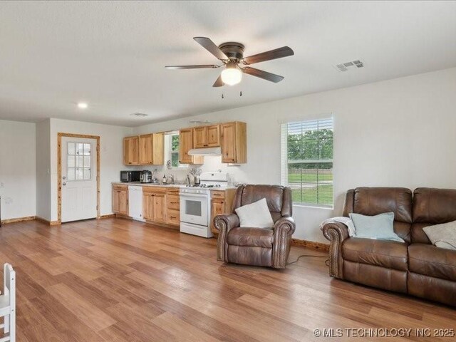 25301 E 330th Rd, Chelsea, OK 74016 - living area featuring baseboards, ceiling fan, and light wood-style floors