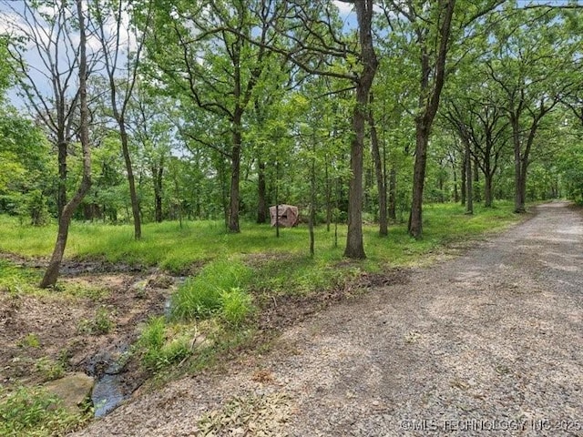 25301 E 330th Rd, Chelsea, OK 74016 - view of undeveloped land