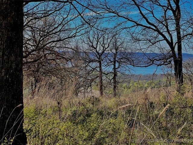 Wilderness Rd, Cookson, OK 74427