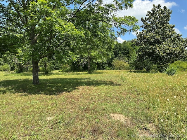 9871 E Windy Ln, Lane, OK 74555 - view of local wilderness