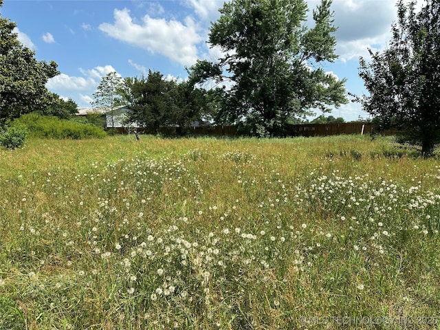 9871 E Windy Ln, Lane, OK 74555 - view of yard