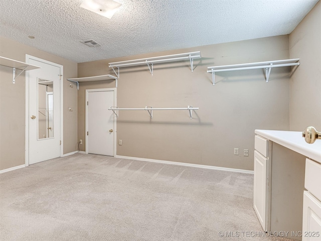 406 Sequoyah Trl, Norman, OK 73071 - spacious closet featuring light carpet