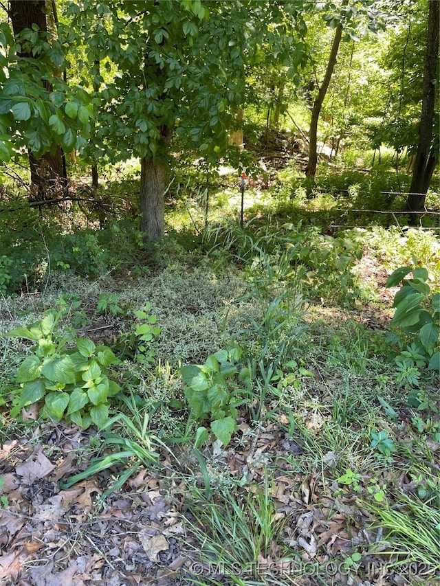 Gran Dr, Afton, OK 74331
