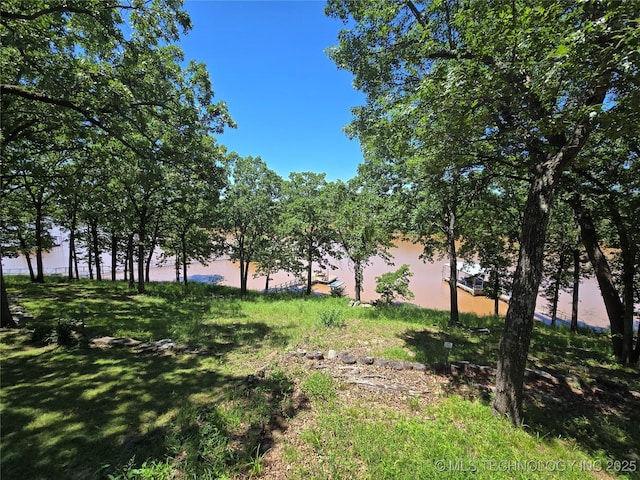 110534 S 4183rd Rd, Checotah, OK 74426 - view of yard