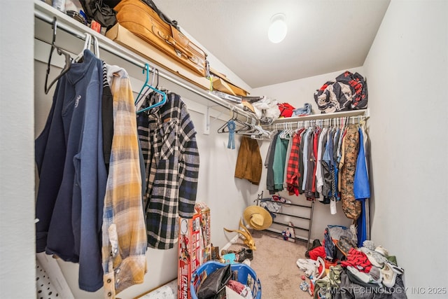 14738 S 274th E Ave, Coweta, OK 74429 - spacious closet with carpet floors