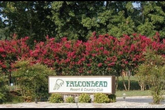 Falconhead, Burneyville, OK 73430