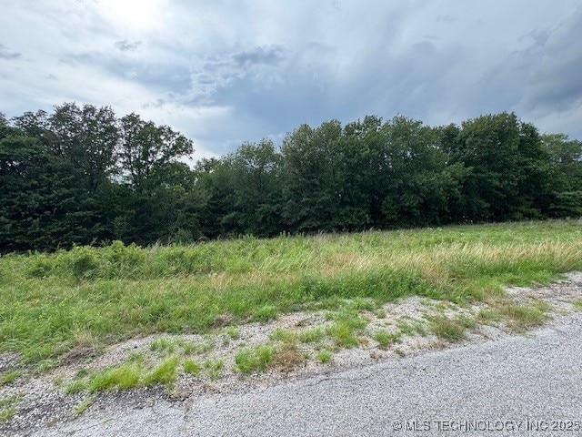 Falconhead, Burneyville, OK 73430 - photo 2