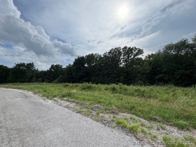 Falconhead, Burneyville, OK 73430 - photo 3