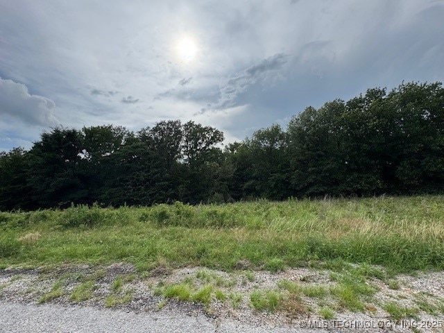 Falconhead, Burneyville, OK 73430 - photo 4