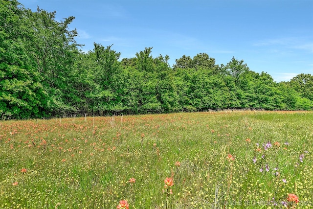 900 W Hardesty Rd, Caddo, OK 74729 - view of yard featuring a wooded view