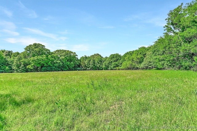 900 W Hardesty Rd, Caddo, OK 74729 - view of wooded area