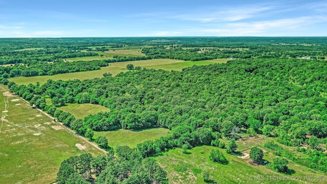 900 W Hardesty Rd, Caddo, OK 74729 - view of property location featuring a heavily wooded area