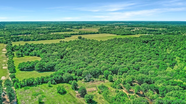 900 W Hardesty Rd, Caddo, OK 74729 - view of property location featuring a forest