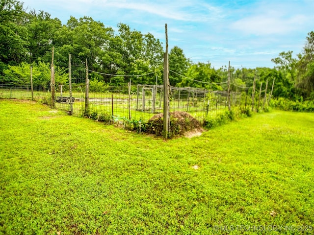 5404 Ranch Rd, Kingston, OK 73439 - view of yard
