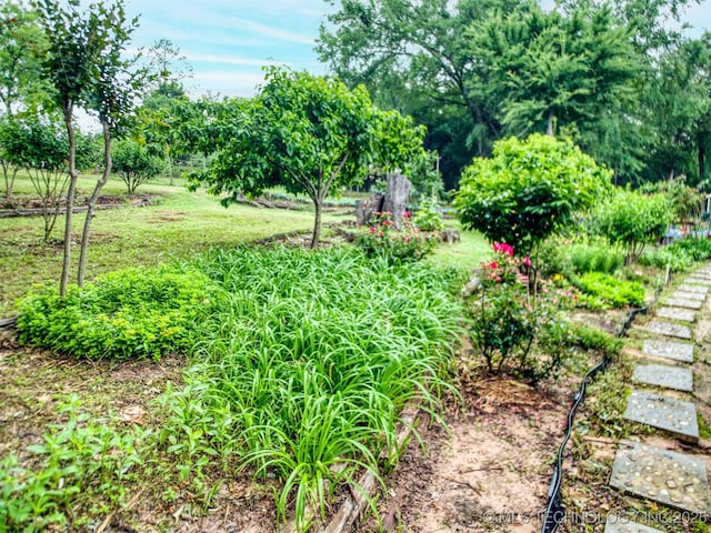 5404 Ranch Rd, Kingston, OK 73439 - view of yard with view of scattered trees