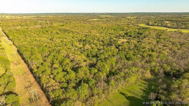 1533 County Road 3480, Ada, OK 74820 - aerial view of a forest