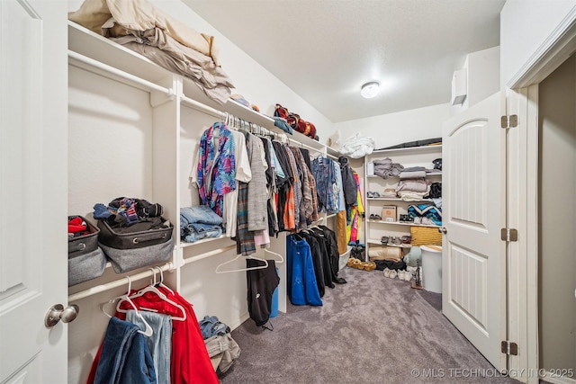 6529 S 159th Ave W, Sapulpa, OK 74066 - walk in closet with carpet