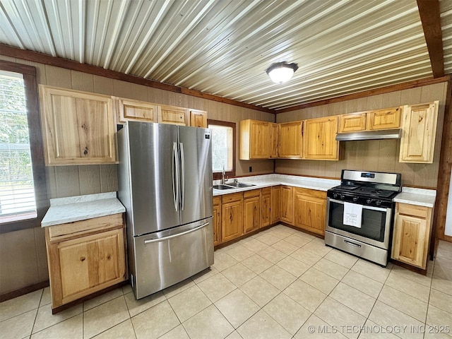 15588 N Sunset Valley Rd, Hulbert, OK 74441 - kitchen with appliances with stainless steel finishes, light countertops, a sink, plenty of natural light, and wooden walls