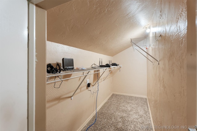 62820 E 312th Rd, Grove, OK 74344 - walk in closet featuring lofted ceiling and carpet flooring