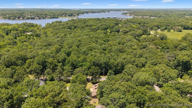62820 E 312th Rd, Grove, OK 74344 - aerial view of a forest and a nearby body of water