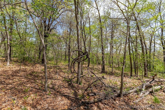 000 Cohea Ln, Ketchum, OK 74349
