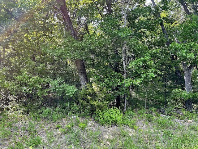 S Hickory Ln, Cookson, OK 74427