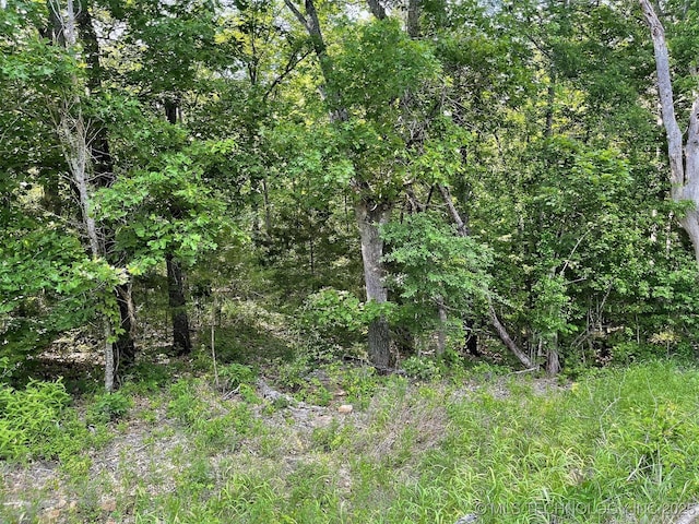S Hickory Ln, Cookson, OK 74427