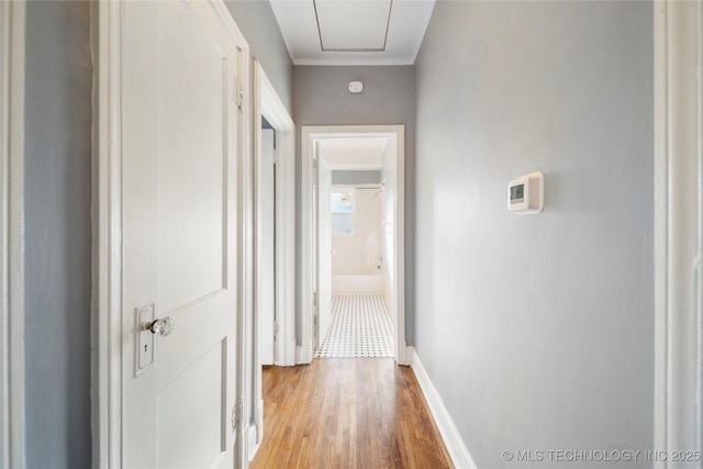 1232 S Gary Pl, Tulsa, OK 74104 - hall featuring light wood-style flooring, baseboards, attic access, and ornamental molding