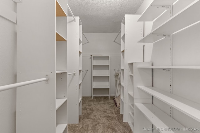 4012 S Cedar Ave, Broken Arrow, OK 74011 - spacious closet with carpet