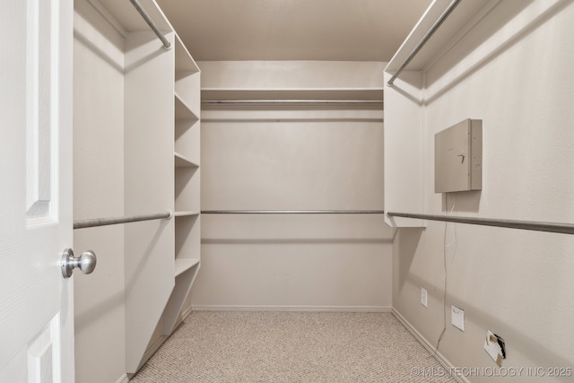 12326 S Cedar Ave, Jenks, OK 74037 - walk in closet with carpet flooring