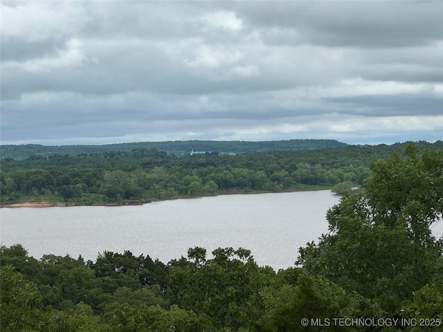 659 Sleepy Hollow Ln, Cleveland, OK 74020 - water view with a heavily wooded area