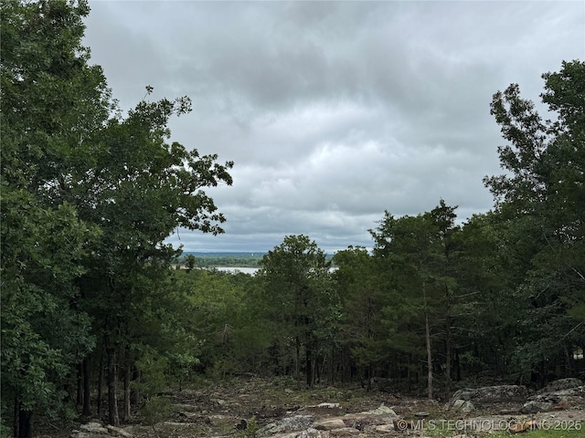 659 Sleepy Hollow Ln, Cleveland, OK 74020 - view of woods