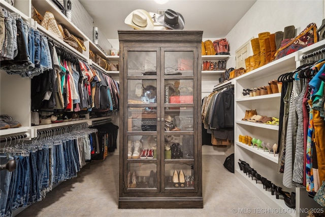 6317 E 110th St, Tulsa, OK 74137 - walk in closet with carpet