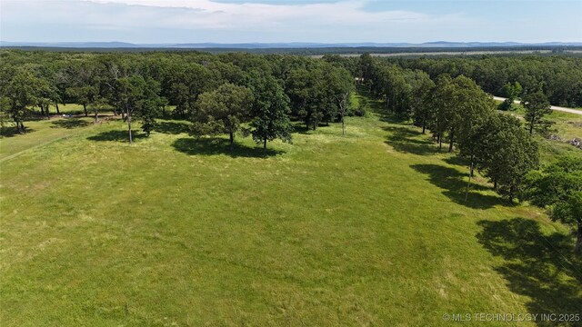 175 Johnson Rd, Broken Bow, OK 74728 - bird's eye view of a forest