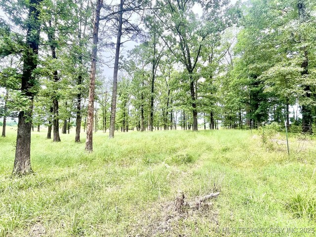 175 Johnson Rd, Broken Bow, OK 74728 - view of nature