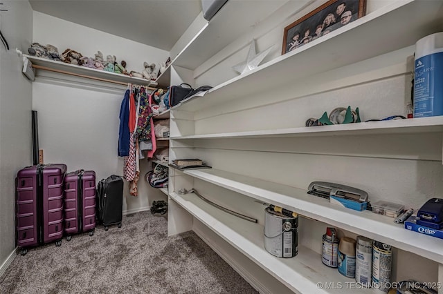 302 E Allen, Davis, OK 73030 - walk in closet with carpet floors