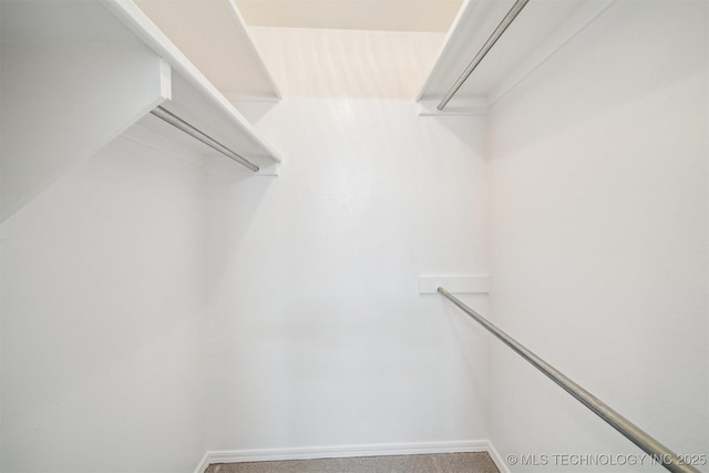 7408 S 94th Ave E, Tulsa, OK 74133 - spacious closet with carpet