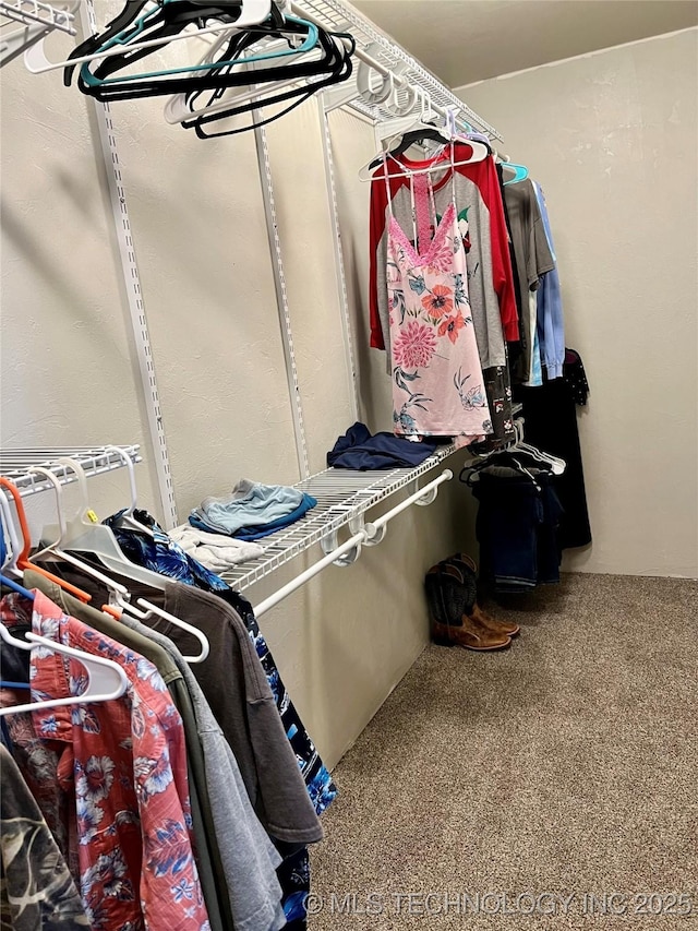 3226 Lark Rd, Kingston, OK 73439 - walk in closet featuring carpet flooring