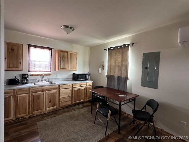 3226 Lark Rd, Kingston, OK 73439 - kitchen featuring electric panel, a sink, black microwave, dark wood-type flooring, and light countertops