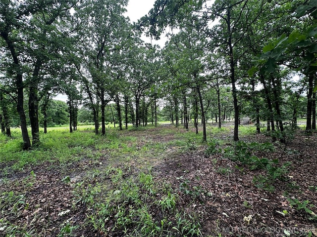 NW 92nd W Ave, Skiatook, OK 74070