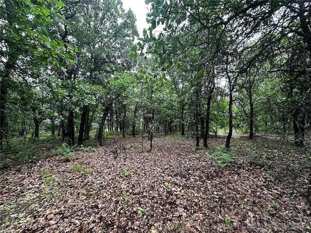 NW 92nd W Ave, Skiatook, OK 74070